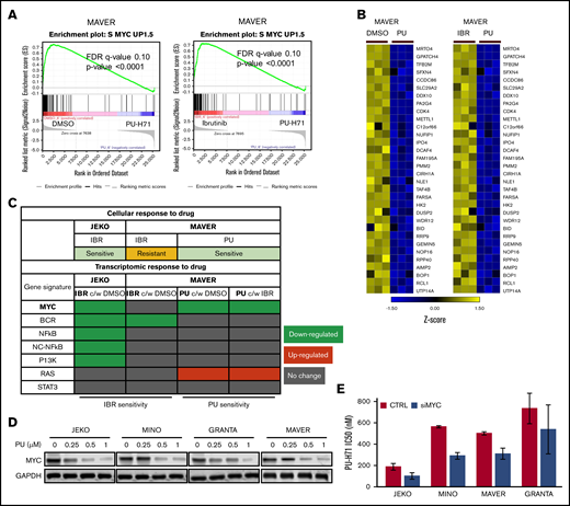 MYC and MYC-controlled genes are effectively targeted by HSP90 inhibition through PU-H71. (A) GSEA enrichment analyses show MYC gene signature was downregulated by 0.5 µM PU-H71 treatment in ibrutinib-resistant MAVER cells. FDR and P values are indicated. (B) Heat map representation of top-ranked MYC signature genes that are downregulated by PU-H71 in comparison with DMSO or ibrutinib. Biological triplicate experiments, represented by 3 columns for each condition, were shown. (C) Summary of the transcriptomic response of JEKO and MAVER cells to ibrutinib and PU-H71 across multiple oncogenic gene signatures. (D) Protein levels of MYC in 4 MCL cell lines were also downregulated at 24 hours by increasing concentrations of PU-H71. GAPDH, loading control. (E) 50% infective dose values of PU-H71 is significantly decreased (P < .05) in 4 MCL cell lines after MYC knock down. One-way analysis of variance test was used for statistical analysis.