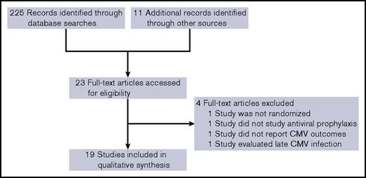 Figure 1. Systematic review flow diagram.