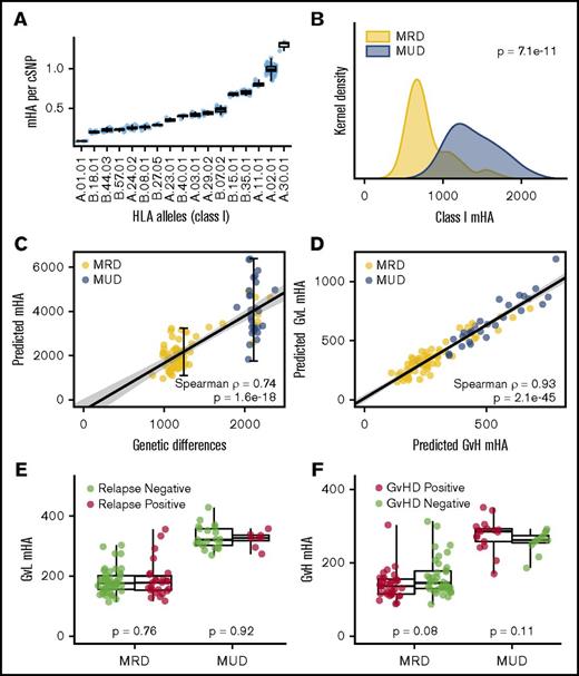 Figure 3. Characteristics of mHAs by HLA type and donor relation. (A) There is a large difference in the number of peptides that can bind with high affinity to class I HLAs (0.09 to 1.32 per gMM). (B) MUD SCT is associated with roughly twice as many class I mHAs compared with MRD SCT. (C) Because of variable frequencies of peptide presentation by different HLA molecules, there is a greater variability in the mHAs compared with gMMs among both MRD and MUD patients. (D) There is a linear association between the number of GVL mHAs and GVHD mHAs. (E) There is no association between the number of GVL mHAs and relapse for MRD or MUD. (F) There is similarly no association between the number of GVH mHAs and GVHD.