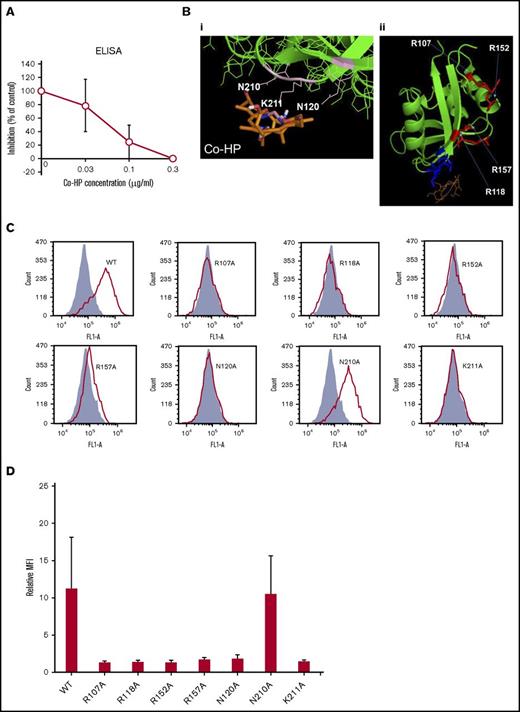 Figure 2. Characterization of Co-HP. (A) ELISA-based IC50 curves for the association between hPod-hFc2 and immobilized hCLEC-2–rFc2 in the presence of Co-HP. (B) (i) Interaction between CLEC-2 (green) and Co-HP (brown). Amino acid residues involved in the Co-HP–CLEC-2 interaction are labeled and highlighted in pink. (ii) Interaction between CLEC-2 (green) and Co-HP (brown). Four arginine residues used for the podoplanin or rhodocytin–CLEC-2 interactions reported to date are labeled and highlighted in red. Amino acid residues involved in the Co-HP–CLEC-2 interactions are highlighted in blue. (C) Flow cytometric analysis using wild-type (WT) and mutant hCLEC-2–hFc2 in binding sites for podoplanin, rhodocytin, or Co-HP (R107A, R118A, R152A, R157A, N120A, N210A, and K211A) and podoplanin-expressing CHO cells. R107A, R118A, R152A, R157A, N120A, N210A, and K211A indicate that arginine, asparagine, and lysine residues in the indicated positions of the recombinant CLEC-2 are substituted with alanine residues. Fill, Purified hFc2; line, purified wild-type or mutant hCLEC-2–hFc2. (D) Binding of wild-type or mutant hCLEC-2–rFc2 to podoplanin-expressing CHO cells. Results are expressed as the relative MFI ± SD (n = 4, panel C) compared with MFI of control rFc2 binding.