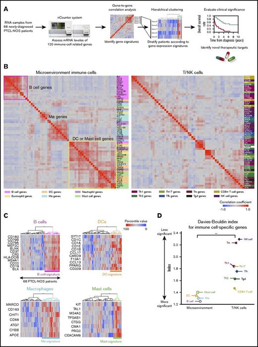Figure 1. Stratification of PTCL-NOS cases into 4 microenvironmental signatures. (A) Workflow of transcriptomic analysis using the nCounter system. (B) Heat maps show correlation matrix among genes representing microenvironmental immune cells (left) and T/NK cells (right). The correlation matrix was subjected to unsupervised hierarchical clustering. Gene names (right) and corresponding cell-types (bottom) are shown. (C) Hierarchical clustering of 68 PTCL-NOS cases was performed using indicated gene sets. (D) Dot plots represent the Davies-Bouldin Index for each gene set. A gene signature representing a low index score (eg, B cell) serves as a useful classifier. **P < .01 (Wilcoxon rank-sum test). Mø, macrophage.