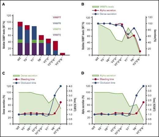 Figure 7. Correlating VAMP-mediated exocytosis to platelet function. VAMP levels, secretion, and function are graphically correlated using our data (closed circles) and that from Koseoglu et al15 (open circles). (A) Calculated VAMP levels remaining in each of the strains tested, relative to WT, were based on the data in Figure 1B and from Graham et al.12 (B) The VAMP levels in each strain are represented by green shading. The red line indicates α-granule secretion, and the blue line indicates dense granule secretion. Secretion levels are from Figure 2 (0.05 U/mL thrombin for 2 minutes). Secretion from dense and α granules of V7−/− platelets (open symbols) were estimated based on ATP release and P-selectin exposure, respectively.15 All values are normalized to WT. Dense granule release (C) and α-granule release (D) are as in panel B and are plotted as green shading. The red line indicates tail bleeding times, and the blue line indicates the occlusive thrombosis times in the FeCl3-injury model. Data are normalized to WT. These data were taken from other figures in this article in which variations were indicated; therefore, error indicators were omitted from these graphs to improve figure clarity.