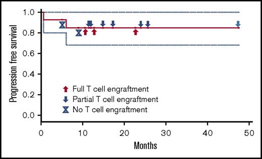 Figure 1. Progression-free survival and T-cell engraftment status.