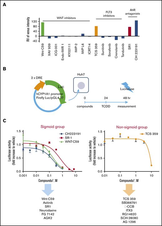 AhR-dependent and -independent pathways to MK maturation identified using luciferase AhR reporter gene assay. (A) WNT and FLT3 signaling was not relevant to the enhancement of imMKCL maturation by Wnt-C59 and TCS 359. Shown are the effects of inhibitors of WNT and FLT3 signaling on Venus fluorescence intensity in β1-tubulin–Venus reporter imMKCLs. (B) Construction of a luciferase AhR reporter gene assay. The human CYP1A1 promoter region containing 2 AhR-recognition sequences was inserted into the XhoI-BglII site of pGL4.27. Huh7 cells were cotransfected with hCYP1A1-pGL4.27 and pRL-TK-pGL4.74 vectors overnight using Lipofectamine 3000, after which they were incubated with compounds for 24 hours, followed by treatment with 1 nM 2,3,7,8-tetrachlorodibenzo-p-dioxin overnight. Firefly and Renilla luciferase activity was evaluated using a Wallac Arvo Sx 1420 (PerkinElmer) with a Dual-Glo Luciferase Assay kit. (C) Dose-response curves of the candidate compounds obtained with the luciferase AhR reporter gene assay. The candidate compounds were categorized into 2 groups based on whether their dose-response curves were sigmoid or nonsigmoid.