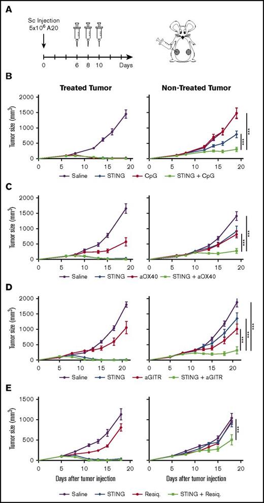 Figure 2. STING in situ vaccination is improved when combined with CpG, anti-OX40, or anti-GITR. (A) Six- to 8-week-old BALB/C mice were implanted with 5 × 106 A20 cells on both flanks. One tumor was used as injection site and the other was monitored for systemic effect. Mice were treated on days 6, 8, and 10 after tumor implantation with IT injection of 5 μg STINGa and/or IT injection of 5 μg CpG (B); SC injection of 8 μg anti-OX40 antibodies (C); SC injection of 50 μg anti-GITR antibodies (D); IT injection of 5 μg Resiquimod (E). These experiments were reproduced at least twice. Error bars are SEM. Shown data are 1 representative experiment with 10 mice per group. Statistical significance of tumor growth was calculated by 2-way ANOVA. ***P < .001.