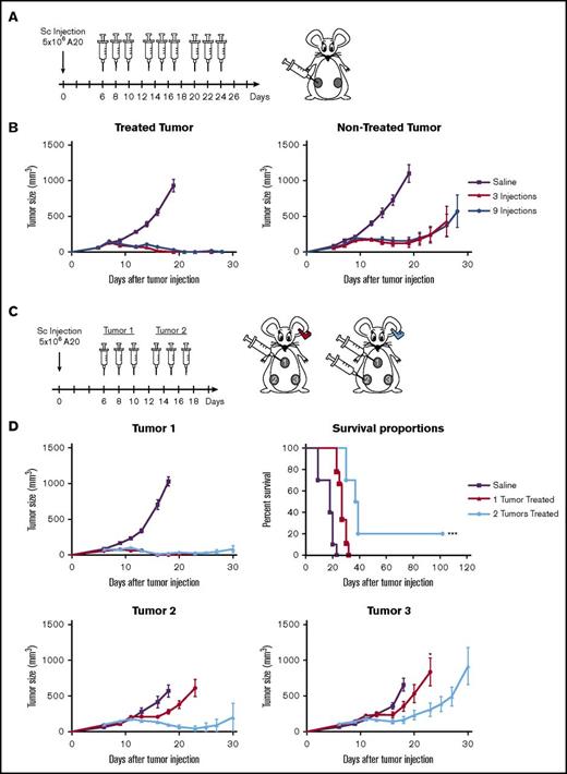 Figure 6. Expending in situ vaccination in a second treated site improve the treatment. (A-B) Six- to 8-week-old BALB/C mice were implanted with 5 × 106 A20 cells on both flanks. One tumor was used as injection site and the other was monitored for systemic effect. Mice were treated with IT injection of 5 μg STINGa and SC injection of 50 μg anti-GITR. Mice were treated every other day 3 or 9 times. (A) Schedule of injections. (B) Growth curve of the treated and nontreated tumor. Data represent 1 experiment with 10 mice per group. (C-D) Six- to 8-week-old BALB/C mice were implanted with 5 × 106 A20 cells at 3 sites on the abdomen. Two tumors were used as injection site; the tired 1 was monitored for systemic effect. Mice were treated with IT injection of 1 μg STINGa and SC injection of 10 μg anti-GITR antibodies. One group of mice was treated every other day 3 times in the tumor 1. A second group of mice was treated 3 times every other day in tumor 1 and then received another 3 injections every other day in the second tumor. (C) Schedule of the injection. (D) Growth curve of the 3 tumors and survival of the mice. Data represent 1 experiment with 10 mice per group. Error bars are SEM. Statistical significance of tumor growth was calculated using 2-way ANOVA. Survival significance was calculated using Mantel-Cox. *P < .05; ***P < .001.