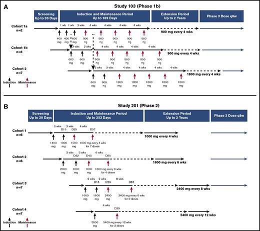 Figure 1. Overview of study designs. (A) Study 103. Patients in cohort 1a (n = 2) received ravulizumab 400 mg on days 1 and 8, 600 mg on day 15, and 900 mg administered every 28 days beginning on day 29 for a total of 5 maintenance doses. Patients in cohort 1b (n = 4) received ravulizumab 600 mg on days 1 and 15, and then 900 mg administered every 28 days beginning on day 29 for a total of 5 maintenance doses. Patients in cohort 2 (n = 7) received ravulizumab 600 mg on day 1, 900 mg on day 15, and then 1800 mg administered every 28 days beginning on day 29 for a total of 5 maintenance doses. After receiving 5 maintenance doses, each cohort entered a 2-year extension period at the same dosage and frequency as during the maintenance period. *Enrollment into cohort 1b began after the first two 400-mg doses were confirmed safe and tolerable in the first 2 patients. **Enrollment into cohort 2 began 14 days after the first maintenance dose of 900 mg was administered to the second patient in cohort 1a and a data monitoring committee reviewed cumulative safety and tolerability data and confirmed no identified safety risks. (B) Study 201. Patients in cohort 1 (n = 6) received ravulizumab1400 mg on day 1, 1000 mg on day 15, and then 1000 mg administered every 28 days beginning on day 29 for a total of 8 maintenance doses. Patients in cohort 2 (n = 6) received ravulizumab 2000 mg on day 1, 1600 mg on day 22, and then 1600 mg every 42 days beginning on day 43 for a total of 5 maintenance doses. Patients in cohort 3 (n = 7) received ravulizumab 1600 mg on days 1 and 15, and then 2400 mg every 56 days beginning on day 29 for a total of 4 maintenance doses. Patients in cohort 4 (n = 7) received ravulizumab 3000 mg on day 1, and then 5400 mg every 84 days for a total of 3 maintenance doses. After the treatment period, each cohort entered a 2-year extension period at the same dosage and frequency that was received during the treatment period. D, day; q8w, every 8 weeks; wks, weeks.