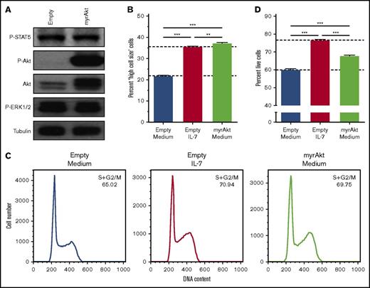 Figure 1. Akt activation fully mimics IL-7-induced T-ALL cell growth and cell cycle progression but does not completely recapitulate the effects on cell viability. HPB-ALL cells were stably transduced with retroviral vectors driving the expression of constitutively active, myristoylated-Akt (myrAkt), or empty control (Empty). (A) Transduced, regularly cultured HPB-ALL cells collected for immunoblot analysis of Akt expression (Akt) and PI3K/Akt, JAK/STAT5, and MEK/extracellular signal-regulated kinase (ERK) pathway activation (P-Akt, P-STAT5, and P-ERK1/2, respectively). Starved transduced HPB-ALL cells were stimulated or not with IL-7 (20 ng/mL) and were assessed by flow cytometry analysis of cell growth at 96 hours (B), cell cycle at 72 hours (C) and viability at 96 hours (D).