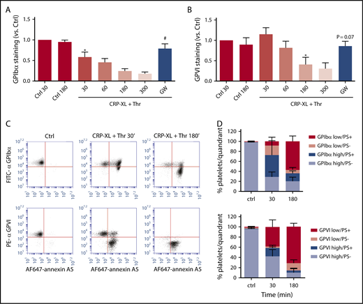 Figure 3. Glycoprotein receptor shedding following PS exposure in CRP-XL/thrombin–stimulated platelets. Washed platelets, which were preincubated with vehicle or ADAM10/17 inhibitor GW280264X (GW; 5 μM), were left unstimulated (Ctrl) or were stimulated with CRP-XL plus thrombin (Thr) for the indicated times and then evaluated for glycoprotein expression by flow cytometry. (A-B) ADAM-dependent decrease in surface expression of GPIbα and GPVI over time. (C-D) Population analysis of platelets after dual staining for GPIbα (FITC mAb) or GPVI (PE mAb) and for PS exposure (AF647-annexin A5). Four platelet populations are defined, as in Figure 2. Note the gradual increase in the PS-exposing platelet populations and the slower increase in populations with shed GPIbα or GPVI. Data are mean ± SD, n = 3-7 (≥3 donors). *P < .05 vs control, #P < .05 vs vehicle.