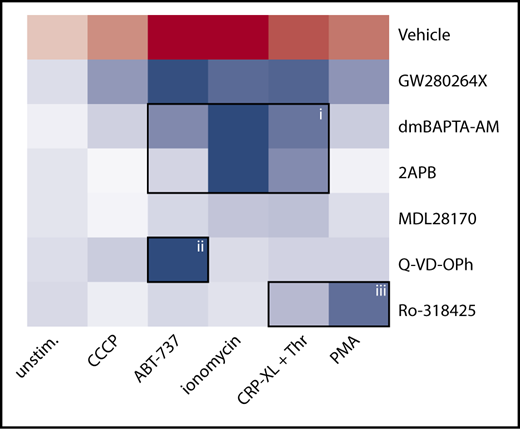 Figure 5. Analysis of signaling pathways implicated in agonist-induced glycoprotein shedding. Washed platelets were pretreated with ADAM10/17 GW280264X, the calpain inhibitor MDL-28170, the pan-caspase inhibitor Q-VD-OPh, the general PKC inhibitor Ro-318425, the Ca2+ chelator dm-BAPTA AM, or the Ca2+ entry inhibitor 2APB. Samples were stimulated with ionomycin/CaCl2, CRP-XL plus thrombin, PMA, ABT-737, or CCCP, as indicated. Data are normalized to those of unstimulated platelets without any inhibitors. Shown is a heat map representing the effects of agonists on GPIbα shedding (red), as well as relative antagonizing effects of inhibitors (blue). Note the 3 clusters representing a role for Ca2+ elevation (i), caspase activation (ii), and PKC activity (iii). See supplemental Table 1 for additional information.