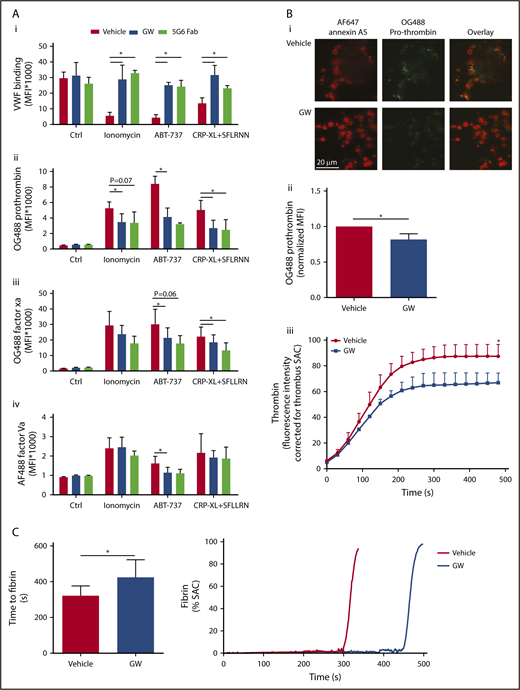 Figure 7. Glycoprotein shedding increases coagulation factor binding to platelets and enhances the formation of thrombin and fibrin. (A) Washed platelets were preincubated with vehicle, GW280264X (GW; 5 µM, 15 minutes), or 5G6 Fab fragment, which are known to block ADAM17-mediated shedding of GPIbα (10 µg/mL, 15 minutes). After 60 minutes of stimulation (37°C) with ionomycin, ABT-737, or CRP-XL plus SFLLRN, flow cytometry was used to measure platelet binding of VWF with fluorescent anti-VWF mAb (in the presence of ristocetin) (Ai), OG488-prothrombin (Aii), OG488-factor Xa (Aiii), or AF488-factor Va (Aiv). Binding of prothrombin, factor Xa, and factor Va was evaluated for the PS-exposing platelet population, identified with AF647-annexin A5. Data are mean ± SD, n = 3-6. (B) Platelet thrombi were formed on collagen and posttreated with SFLLRN for 60 minutes at 37°C in the presence of vehicle or GW (5 µM). After incubation, the thrombi were stained with OG488-prothrombin or were incubated with recalcified plasma supplemented with fluorogenic substrate Z-Gly-Gly-Arg-AMC to measure thrombin generation. Representative fluorescence images (Bi) and quantification of prothrombin fluorescence (Bii). (Biii) Time course (under stasis) of generation of thrombin from the surface of platelet thrombi formed in the presence or absence of GW. Data are mean ± SD, n = 3. (C) Kinetics of fibrin formation at a layer of adhered platelets on collagen, posttreated with ionomycin for 10 minutes, and inducing maximal shedding, in the presence of vehicle or GW. Fibrin formation was then allowed by perfusion of recalcified normal plasma at 250 s−1, while recording fluorescence images. Shown are times to fibrin formation and representative time traces of fibrin formation (expressed as SAC). Data are mean ± SD, n = 6. *P < .05.