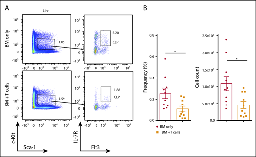 Figure 2. Reduction of CLP cells in the BM of cGVHD animals. B10.BR mice were transplanted with BM only or BM and T cells from B6 donor mice, and BM cells from tibiae and femurs were harvested on day 30. (A) Representative flow cytometry plots demonstrating frequency of CLP cells in the Lin−c-KitintSca-1int population in the BM of transplanted animals. (B) Frequency (left) and total number (right) of donor-derived CLP cells isolated from BM of transplanted mice. Combined data from 3 independent experiments are shown. *P < .05 (Mann-Whitney U test); n = 10 in each group. Bars represent standard error of the mean.