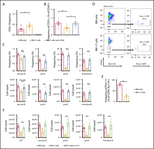 Figure 5. CD4+ T-cell–dependent aberration of B-cell progenitor niche in cGVHD animals. B10.BR mice were transplanted with BM only or BM and T cells from B6 donor mice. A subgroup of BM plus T-cell animals received injections of anti-CD4 on days 5, 7, 12, and 14 posttransplantation (GK1.5, 0.5 mg/mouse). Tibiae and femurs for osteoblast analysis and BM were harvested on day 30. (A) Frequency of infiltrating CD4+ T cells in the BM on day 30. Combined data from 2 independent experiments. *P < .05 (Mann-Whitney U test); n = 11 for BM only and BM plus T cells, and n = 6 for BM+T (anti-CD4). (B) Frequency of osteoblasts isolated from tibiae and femurs (percentage of Ter119−CD31−CD51+cells in the CD45− gate) 30 days posttransplantation. Combined data from 2 independent experiments, *P < .05, **P < .01 (Mann-Whitney U test), N = 11 for BM only and BM+T cells, N = 6 for BM+T (anti-CD4). (C) Frequency determined from the total number of cells in the BM (top) and overall number (bottom) of donor derived pre-pro B (B220+CD43+CD19−IgM−), pro B (B220+CD43+CD19+IgM−), pre B (B220+CD43-CD19+IgM−) and immature B cells (B220+CD43-CD19+IgM+) isolated from the BM of transplanted mice. Combined data from 2 independent experiments are shown. ***P < .001 (Mann-Whitney U test); n = 8 for all groups. (D-E) Prrx-1+YFP+ mice on a B6 background were transplanted with BM only or BM and T cells from B10.BR donor mice, and representative flow cytometry plots (D) and frequency of Prrx-1 YFP+ perivascular cells isolated from tibiae and femurs in CD45-Ter119− gate at day 30 after the transplantation (E) are shown. Combined data from 3 independent experiments are shown. **P < .01 (Mann-Whitney U test); n = 5 for BM only and n = 7 for BM plus T cells. (F) Overall number of donor-derived CLP, pre-pro–B (B220+CD43+CD19−IgM−), pro-B (B220+CD43+CD19+IgM−), pre-B (B220+CD43−CD19+IgM−), and immature B cells (B220+CD43−CD19+IgM+) isolated from the BM of transplanted mice. The BM plus T group received daily injections of either saline (black bars) or 1 μg/mouse mIL-7 (green bars) during the first 2 weeks posttransplantation. *P < .05 (Mann-Whitney U test); n = 5 for BM only, n = 3 for BM plus T cells (saline), and n = 4 for BM plus T cells (mIL-7). Bars represent standard error of the mean.