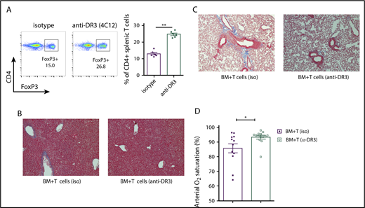 Figure 6. Infusion of splenic T cells from anti-DR3–treated donors reduces cGVHD severity. (A) Representative flow cytometry plot and a summary of 6 independent experiments indicating expansion of splenic FoxP3-GFP+ donor cells in the CD4+ population after a single dose of 0.5 mg/kg anti-DR3 antibody (4C12) 3 days before the transplantation. **P < .01. (B-C) Collagen deposition in perivascular regions of liver parenchyma (B; blue staining) and the peribronchiolar area of the lung (C; Masson’s trichrome staining, bright-field microscopy using Nikon Eclipse Ti microscope, original magnification ×200). (D) Arterial oxygen saturation (SpO2) measured using pulse oximetry in cGVHD (iso) and cGVHD (anti-DR3) animals. *P < .05 (Mann-Whitney U test); n = 12 for cGVHD (iso) and n = 14 for cGVHD (anti-DR3). Bars represent standard error of the mean.
