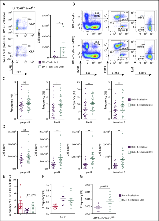 Figure 7. Transplantation of low-dose of splenic T cells from anti-DR3–pretreated donors protected osteoblasts and partially rescued impaired BM B-cell development in cGVHD. B10.BR mice were transplanted with BM only or BM and T cells from B6 donor mice injected with either anti-DR3 mAb (4C12, 0.5 mg/kg) or isotype control IgG (NTK888) 3 days prior to the procedure. (A) Representative flow cytometry plots demonstrating frequency of donor-derived CLP cells in Lin−c-KitintSca-1int and total number of donor-derived CLP cells. Combined data from 2 independent experiments are shown. *P < .05, **P < .01 (Mann-Whitney U test); n = 6 in each group. (B) Representative flow cytometry plots demonstrating frequency of pre-pro–B, pro-B, pre-B, and immature B cells in the BM (numbers indicates frequency of parental gate). (C-D) Frequency of total BM (C) and total number (D) of donor-derived pre-pro–B (B220+CD43+CD19−IgM−), pro B (B220+CD43+CD19+IgM−), pre B (B220+CD43−CD19+IgM−) and immature B cells (B220+CD43−CD19+IgM+) isolated from BM of transplanted mice. Combined data from 4 independent experiments are shown. *P < .05; **P < .01 (Mann-Whitney U test); n = 18 and n = 24 for BM plus T cells (iso) and BM plus T cells (anti-DR3), respectively. (E) Frequency of osteoblast isolated from tibiae and femurs (percentage of Ter119−CD31−CD51+cells in the CD45− gate). Combined data from 2 independent experiments are shown. Mann-Whitney U test; n = 8 for BM only and BM plus T cells, and n = 6 for BM plus T cells (anti-DR3). (F-G) Frequency of infiltrating donor-derived CD4+ T cells (F) and CD4+CD25+FoxP3GFP+ Tregs (G) in the BM. The BM-only group was not included in this analysis due to lack donor-derived FoxP3-GFP–expressing Tregs. Combined data from 3 independent experiments are shown. Mann-Whitney U test; n = 10 for all groups. Bars represent standard error of the mean.