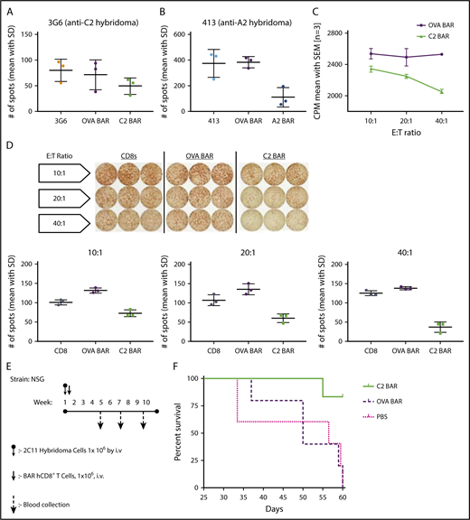 Figure 2. Specific cytotoxicity of BAR CD8s in vitro and in vivo. (A-B) Quantification of FVIII-specific spots formed by 3G6 and 413 hybridomas after coculture with BAR effector CD8 T cells (P = .0157). (C) Dose-dependent killing of target cells (BO2C11) by C2-BAR–expressing human CD8 T cells. (D) Loss of FVIII-specific IgG antibody secretion by BO2C11 cells at increasing effector:target (E:T) ratio of C2-BAR human CD8 T cells compared with controls (P < .05). (E) Schematic diagram of adoptive cell transfer into NSG mice and sample collection. (F) Kaplan-Meier survival analysis of NSG mice injected with BO2C11 hybridoma cells (n = 5). Log-rank (Mantel-Cox) test P = .0104. CPM, counts per minute; hCD8+, human CD8+; SD, standard deviation; SEM, standard error of the mean.