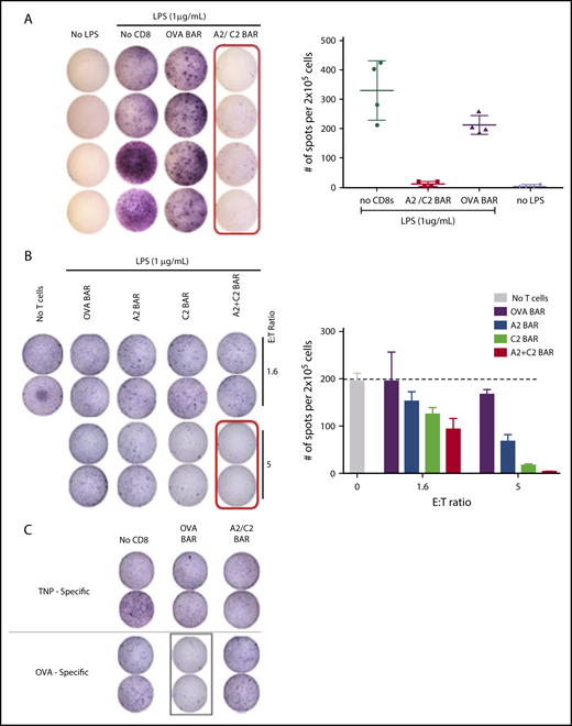 Figure 3. Effect of A2/C2-BAR CD8 T cells on naïve B cells. (A) Significant loss of IgM+ FVIII-specific spot formation with LPS stimulation of naïve B cells in A2/C2-BAR–treated group compared with control OVA-BAR or no T-cell groups (P = .0209). (B) Dose-dependent effect of A2-BAR, C2-BAR, or A2/C2-BAR CD8 T cells on the LPS-stimulated naïve B cells to form IgM+ FVIII-specific spots compared with the OVA-BAR group (P = .001). (C) TNP-specific IgM (top) or OVA-specific IgM (bottom) secretion by the LPS-stimulated naïve B cells in the presence of either OVA- or A2/C2-BAR–expressing T cells.