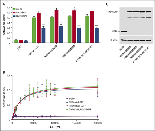 Figure 2. Talin 1 R35E mutation does not impede αIIbβ3 integrin activation in CHO cells. (A) CHO-A5 cells stably expressing αIIbβ3 integrin were transfected with complementary DNA encoding EGFP-tagged THD in combination with Rap1b(Q63E) or Rap1GAP1. Integrin activation was assayed by binding of PAC1 to EGFP+ cells. Bar graph shows mean ± standard error of the mean (SEM) of 4 independent experiments. No significant differences between wild-type and mutants were detected. (B) Activation indices were normalized to the maximum value of THD(wild-type)–EGFP and plotted as a function of EGFP-MFI. Graphs represent mean ± SEM of 4 independent experiments. Curve fitting was performed using the total 1 site-binding model in Prism 5.0 (GraphPad Software). No significant difference between wild-type and mutants was detected. (C) Expression of EGFP-THD mutants was assayed by western blotting. *P < .05, **P < .01, ***P < .001, 2-way analysis of variance with Bonferroni posttest.