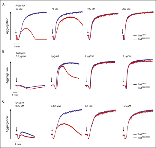 Figure 4. Unstable aggregation of Tln1R35E/R35E platelets in response to stimulation with a low dose of agonists. Aggregation of Tln1wt/wt and Tln1R35E/R35E platelets stimulated with various doses of PAR4-AP (A), fibrillar collagen type I (B), and the thromboxane A2 analog U46619 (C). Arrows indicate addition of the agonist. Results are representative of 3 independent experiments, n = 3 mice each time.