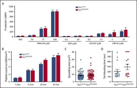Figure 5. Analysis of platelet adhesion and secretion, as well as hemostasis, in Tln1R35E/R35E mice. (A) P-selectin (CD62P) surface expression onto platelets in whole blood. Bar graph represents ΔMFI ± SEM (n = 4 mice, representative of 2 independent experiments). (B-C) Adhesion of Tln1R35E/R35E platelets onto fibrinogen-coated surfaces. Washed platelets were stimulated with thrombin (0.01 U/mL). Platelets were pooled from 3 mice, 2 independent experiments. (B) Bar graphs are mean ± SEM of adhered platelet counts at the indicated time points after stimulation. (C) Quantification of platelet area at 45 minutes. Data are mean ± SEM. (D) Tail bleeding analysis. The experiment was terminated at the end of 10 minutes to avoid excessive loss of blood. No significant differences were observed between Tln1wt/wt mice (n = 15) and Tln1R35E/R35E mice (n = 14).