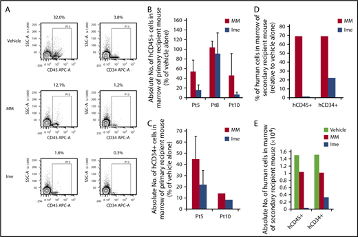 Figure 4. Imetelstat is capable of eliminating MF SRCs. (A) Representative FACS plots showing hCD45 cell chimerism and hCD34+ cells detected in the marrow of NSG mice receiving the same MF splenic CD34+ cells treated with vehicle alone, MM, or Ime (15 mg/kg). (B-C) The absolute number of hCD45+ and hCD34+ cells generated in the marrow of NSG mice 4 months after the transplantation of MF splenic CD34+ cells. One week after the transplantation of MF splenic grafts, the recipient mice were treated with vehicle alone or both drugs, and the data were analyzed as described in Figure 3. n = 3. HCD45+ cells: P = .03, MM vs Ime. HCD34+ cells: P = .14, MM vs Ime. Data of 3 patient samples were pooled together and analyzed. Two independent experiments were performed for each patient sample. (D) The percentage of the absolute number of hCD45+ and hCD34+ cells detected in the marrow of secondary recipient mice receiving the BMCs harvested from primary recipient mice receiving Pt 5 splenic CD34+ cells treated with MM or Ime (15 mg/kg) relative to mice receiving same graft but treated with vehicle alone. (E) Absolute number of hCD45+ and hCD34+ cells generated in the marrow of the secondary recipient mice. Half of the BMCs collected from each primary recipient mouse receiving grafts from Pt5 were injected via the tail vein into a secondary recipient mouse and BMCs from the secondary recipient mouse were then harvested 2 months after the transplantation. Only BMCs from primary recipient mice transplanted with grafts from Pt5 that were treated alone with vehicle alone or MM but not imetelstat were able to reconstitute the secondary recipient NSG mice. BMCs, BM cells.