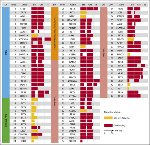Figure 3. Overlapping mutational characteristics identified in the 3 cell fractions by targeted sequencing. Mutations present in blast cells (Bla), granulocytes (Gra), and T cells (Tc) in each of the 44 patients (UPN is shown in the second column from the left). Overlapping and nonoverlapping mutations are shown as red and yellow rectangles, respectively. When multiple mutations were identified in the same gene, only a representative mutation is shown for each case. The variant allele frequency (VAF) of each mutation is indicated by the horizontal width of the rectangle, with a maximum value set to 50%. Patient diagnosis (Dx) is shown in the far left-hand panel and is color coded according to the disease subset. The DNMT3A mutation in R882 residue is indicated by asterisks.