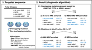 Graphical abstract for: Cell-lineage level–targeted sequencing to identify acute myeloid leukemia with myelodysplasia-related changes;