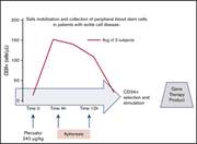 Graphical abstract for: Successful hematopoietic stem cell mobilization and apheresis collection using plerixafor alone in sickle cell patients;