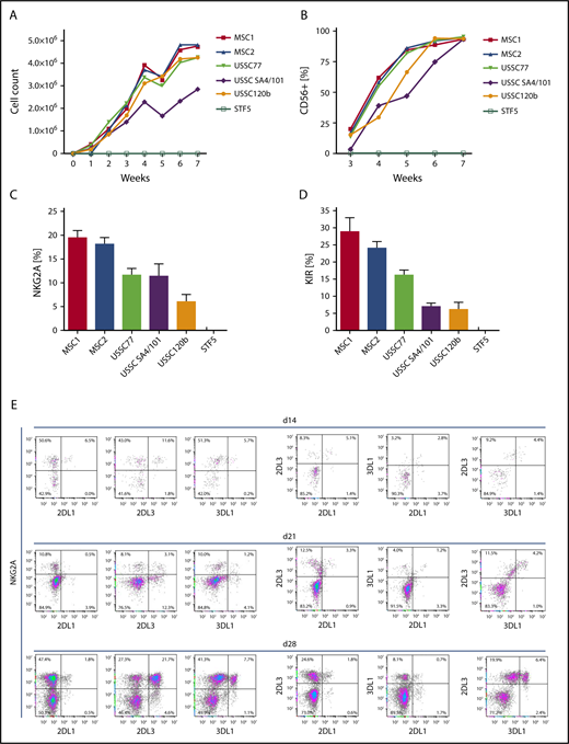 Figure 1. BM-derived MSCs efficiently support the generation of KIR-expressing NK cells from early hematopoietic progenitors. CD34+ HSPCs were isolated from CB and seeded at 3 × 103 cells per well on monolayers of the indicated stromal cell types (MSC, USSC) or fibroblasts (STF5). Cell number (A) and expression of CD56 (B) were measured weekly during culture by flow cytometry. Maximum expression frequency of NKG2A (C) and KIR (D) was monitored for each of the indicated cell lines using a mixture of KIR-specific monoclonal antibodies for inhibitory KIR2D and KIR3D receptors (data are mean frequency and standard deviation of 3 independent experiments). (E) Flow cytometric analysis of cultures at day 14 (top panel), day 21 (middle panel), and day 28 (bottom panel). Cells were gated on the CD56+ subset, and expression of the NK cell receptors KIR2DL1, KIR2DL3, KIR3DL1, and NKG2A was analyzed.