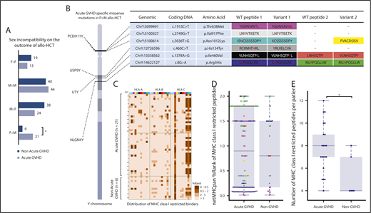 Figure 3. Y-chromosome variants associate with acute GVHD. (A) Acute GVHD in sex-matched and sex-mismatched donor–recipient pairs, including a statistically significant association (star) in female-to-male (F>M) allogeneic stem cell transplant. Variants were identified in 4 genes (PCDH11Y, USP9Y, UTY, and NLGN4Y), which are displayed with approximate locations on the Y chromosome (B). Precise genomic coordinates and nucleotide and amino acid positions are tabulated, with variant residues shown in red. In some cases, alternative proteasomal cleavage prediction resulted in multiple peptides. (C-E) HLA-restricted affinity prediction for each color-coded peptide is shown for acute GVHD and non-GVHD patients (C) and summarized (D), with application of the recommended threshold for strong binders per male recipient (E). WT, wild-type.