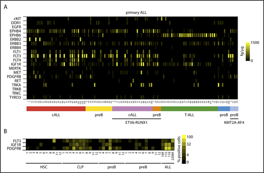 Figure 1. Expression of RTKs in ALL and normal lymphopoiesis. (A) Heat map of mean quantitative RTK protein expression data on n = 106 ALL samples representing different immunological and genetic ALL subtypes determined by quantitative sandwich ELISA performed in duplicate. Color scale bar indicates amount of RTK protein (femtogram) per microgram protein lysate using recombinant proteins as internal standards. (B) RTK surface expression in hematopoietic progenitor cells from bone marrow of ALL patients in complete remission determined by FACS of progenitor subpopulations in comparison with primary ALL samples (denoted as ALL). Pro-B and pre-B progenitors as defined in supplemental Figure 1D. Color scale indicates receptor surface expression as percentage of total cell population. cALL, common ALL; CLP, common lymphoid progenitor; HSC, hematopoietic stem cell.