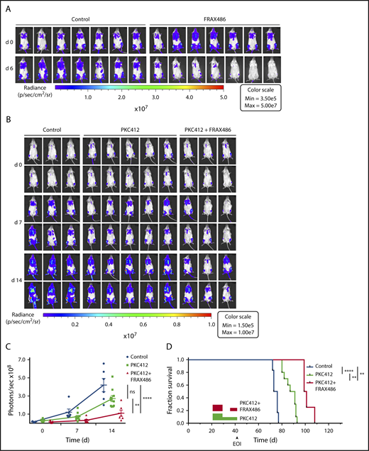 Figure 6. PAK inhibitor FRAX486 induces remission of ALL and prolongs survival in combination with midostaurin. (A) In vivo bioluminescent imaging of G-Luc transgenic ALL22089 xenografted in NSG mice on days 0 and 6 of a treatment course with FRAX486 (20 mg/kg daily). Control animals were treated with solvent in buffer. Color bar represents photon emission per second (also see supplemental Figure 11A). (B) In analogy to panel A in vivo imaging of G-Luc ALL22089 xenografted NSG mice on days 0, 7, and 14 of PKC412 monotherapy vs combined PKC412 and FRAX486 treatment compared with vehicle-treated controls. (C) Photon emissions per cohort and day of treatment are presented as mean plus or minus SD of photons per second in a dot plot. Mann-Whitney U test, 2-tailed; **P < .01; ***P < .001 (for day 21 imaging data refer to supplemental Figure 11B-C). (D) Kaplan-Meier analysis of leukemia progression-free survival of G-Luc ALL22089 xenografted NSG mice treated with midostaurin vs midostaurin in combination with FRAX486 compared with vehicle control. Rectangular boxes: red, combined treatment; green, PKC412 monotherapy. Note dose reduction and treatment pause due to gastrointestinal toxicity. Three mice were lost in the combined regimen arm due to gastrointestinal toxicity and 1 mouse in the control arm died during imaging under general anesthesia. Log-rank test; **P < .01; ****P < .0001. EOI, end of induction treatment; ns, not significant.