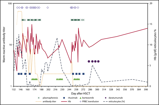 Figure 1. Representation of laboratory parameters and treatment strategies in patient 2.