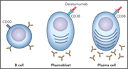 Graphical abstract for: Daratumumab in life-threatening autoimmune hemolytic anemia following hematopoietic stem cell transplantation;