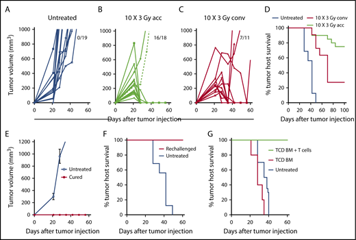 Figure 1. Accelerated LTI, but not conventional LTI, therapy induces potent T cell–mediated durable complete remissions in A20 lymphoma. (A) Changes in individual tumor volumes of A20 lymphomas after subcutaneous (s.c.) flank injection of 2 × 105 lymphoma cells in untreated BALB/c mice. Fraction of mice alive with complete remission of primary tumors at day 60 is shown. (B) Changes in mice treated with accelerated (acc) tumor irradiation (10 × 3 Gy) over 4 days. (C) Changes in mice treated with conventional (conv) daily tumor irradiation over (10 × 3 Gy) 12 days. (D) Tumor host survival of treated and untreated tumors. There were significant differences in survival over 100 days in groups with untreated tumors vs tumors treated with acc irradiation (P < .0001) or conv irradiation (P < .0001), as well as in groups treated with acc irradiation vs conv irradiation (P = .006, Mantel-Cox test). Changes in mean (± standard error) tumor volumes (E) and survival of tumor hosts (F) after tumor cell injection (2 × 105 A20 cells, s.c.) into untreated mice or into mice in complete remission (cured) for ≥100 days after treatment of A20 tumors with accelerated LTI. (G) Survival of untreated mice or adoptive BALB/c hosts given 800 cGy total body irradiation and 5 × 106 TCD BM cells alone or with 6 × 106 splenic T cells from mice in complete tumor remission. Adoptive hosts or untreated mice were injected with lymphoma cells (2 × 105 of A20 cells, s.c.) on the day of BM injection. There was a significant difference in survival between groups with T-cell transplants from cured LTI-treated donors (n = 5) vs transplants of TCD BM alone (P = .0003; n = 5) vs survival of untreated tumor-bearing mice (P < .0001; n = 5).