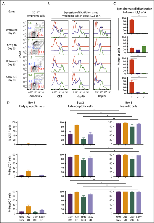 Figure 3. Accelerated LTI is more effective than conventional LTI in the induction of A20 lymphoma cell necrosis with expression of CRT, Hsp70, and Hsp90. (A) Gated CD19+ lymphoma cells from untreated or treated A20 tumors, 24 hours after completion of LTI, were analyzed for 7AAD vs annexin V staining. Gates were drawn based on fluorescence minus 1 controls. (B) Representative 1-color analyses of intensity of staining with CRT, Hsp70, or Hsp90 among gated CD19+ lymphoma cells that are Annlo7AADneg (box 1 in panel A, red), Annint7AADlo (box 2 in panel A, blue), and Annhi7AADhi (box 3 in panel A, green). (C) Percentages (mean ± standard error of the mean) of cells in boxes 1, 2, and 3 in panel A. (D) Mean percentages of CRT+, Hsp70+, or Hsp90+ tumor cells in boxes 1, 2, and 3 in panel A in the 4 groups of mice (n = 5 mice per group). Mean percentages of early apoptotic cells in all groups were significantly different from those in late-apoptotic and necrotic cells. Only significant P values are shown. *P < .05, **P < .01, Mann-Whitney U test.