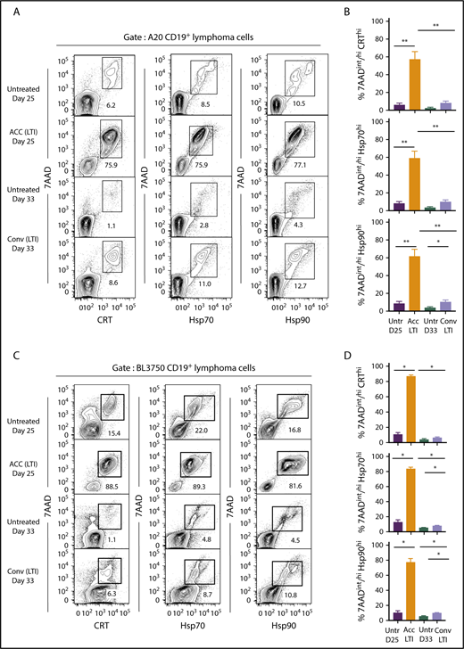 Figure 4. Accelerated, but not conventional, LTI markedly increases the percentages of 7AADint/hi CRThi , 7AADint/hi Hsp70hi , and 7AADint/hi Hsp90hi cells in A20 and BL3750 B-cell lymphomas. (A) Representative 2-color FACS patterns of the percentages of 7AADint/hiCRThi, 7AADint/hiHsp70hi, and 7AADint/hiHsp90hi cells on CD19+ gated BALB/c A20 lymphoma cells within the boxes from 3 groups of mice. (B) Percentages (mean ± standard error of the mean) of 7AADint/hiCRThi (top panel), 7AADint/hiHsp70hi (middle panel), and 7AADint/hiHsp90hi (bottom panel) cells in panel A. n = 5 mice per group. (C) Representative 2-color FACS patterns of the percentages of 7AADint/hiCRThi, 7AADint/hiHsp70hi, and 7AADint/hiHsp90hi cells on CD19+ gated BL3750 lymphoma cells contained in boxes from 4 groups of mice. (D) Percentages (mean ± standard error of the mean) of 7AADint/hiCRThi, 7AADint/hiHsp70hi, and 7AADint/hiHsp90hi cells in panel C. n = 4 mice per group. Only significant P values are shown. *P < .05, **P < .01, Mann-Whitney U test.