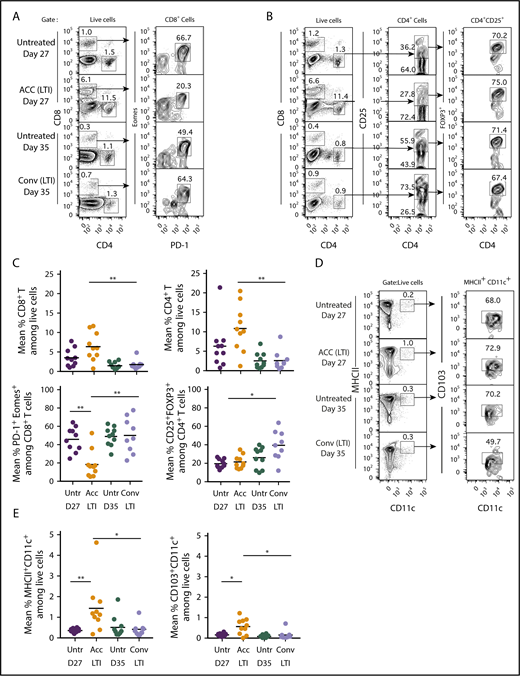 Figure 5. Infiltration of CD4+ and CD8+ T cells and DCs in A20 tumors is markedly increased after accelerated vs conventional LTI. (A) Mice with 21-day tumors received accelerated (ACC) LTI, conventional (Conv) LTI, or no treatment. Tumor-infiltrating mononuclear cells were analyzed 3 days after LTI completion for percentages of CD4+ and CD8+ T cells, as well as expression of PD-1 and Eomes surface markers, among gated CD8+ T cells. Percentages of each subset of cells in boxes on representative 2-color analysis panels are shown, and arrows identify gating strategy. (B) Representative 2-color FACS patterns of CD4 vs CD25 and CD4 vs FOXP3 on gated CD4+ T cells are shown. (C) Mean percentages of tumor-infiltrating CD4+ and CD8+ T cells (upper panels), CD8+ T cells that expressed the “exhausted” phenotype (PD-1+Eomes+) (lower left panel), and CD4+CD25+FOXP3+ Treg cells among CD4+ T cells (lower right panel) (n = 9 or 10). (D) Representative staining for MHCIIhiCD11chi DCs among live mononuclear cells from tumors. These cells were analyzed for expression of CD103. (E) Mean percentages of tumor-infiltrating total MHCII+CD11c+ DCs (left panel) and CD103+ DCs (right panel). Only significant P values are shown. *P < .05, **P < .01, Mann-Whitney U test.