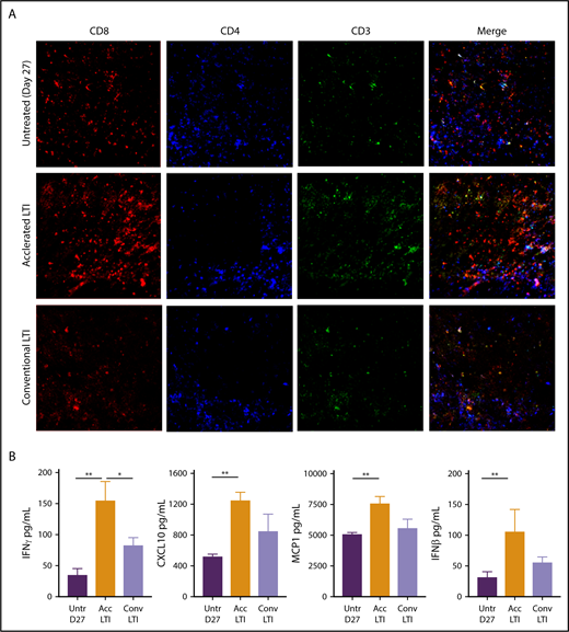 Figure 6. Histopathologic infiltration of CD8+ T cells and production of proinflammatory cytokines and chemokines in A20 tumors are markedly increased after accelerated LTI. (A) Immunohistochemistry of A20 tumors that were untreated or treated with conventional or accelerated LTI starting on day 21. Tissue sections obtained from day-27 tumors were stained with anti-CD3, anti-CD4, and anti-CD8 mAbs conjugated with fluorochromes using a 2-stage procedure. CD8+ is red, CD4+ is blue, and CD3+ is green. (B) Lysates from tumor tissues were analyzed for expression of various cytokines and chemokines by Luminex-based assay with or without LTI treatment. Concentrations of cytokines and chemokines per 100 μg of total protein. Data are mean ± SEM (n = 5 mice per group). Only significant P values are shown. *P < .05, **P < .01, Mann-Whitney U test.