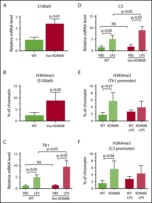 Figure 5. Overexpression of KDM6B in BM cells led to epigenetic activation of innate immune genes. (A) Quantitative reverse transcription reverse transcription-PCR results showing mRNA expression of the S100a9 gene in mouse BM cells (N = 10 Vav-KDM6B, N = 13 WT) (B) Chromatin immunoprecipitation-PCR results showing H3K4me3 at the regulatory region of the S100a9 gene in mouse BM cells (N = 5 in each group). (C-D) Quantitative reverse transcription-PCR results showing mRNA expression of innate immune genes TLR1 and C3 in mouse BM cells (treatment with LPS: N = 10 Vav-KDM6B, N = 8 WT: treatment with PBS: N = 12 Vav-KDM6B, N = 13 WT). (E-F) Chromatin immunoprecipitation-PCR results showing promoter H3K4me3 at the regulatory regions of the TLR1 and C3 genes (N = 5 in each group). All error bars are based on ± SEM.