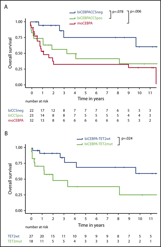 Figure 4. Survival data depending on biogroup and TET2 status. (A) OS of biCEBPACCSneg, biCEBPACCSpos, and moCEBPA patients. (B) OS of biCEBPA patients depending on TET2 mutational status.
