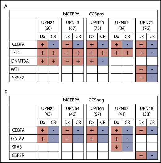 Figure 5. Mutational status of biCEBPACCSpos and biCEBPACCSneg remission samples (age is given in brackets). (A) Four out of 5 biCEBPACCSpos patients had persisting clones in CR, indicating a clonal hematopoiesis. (B) None of the 5 biCEBPACCSneg samples had a detectable mutation load at the time of remission. Dx, diagnosis.