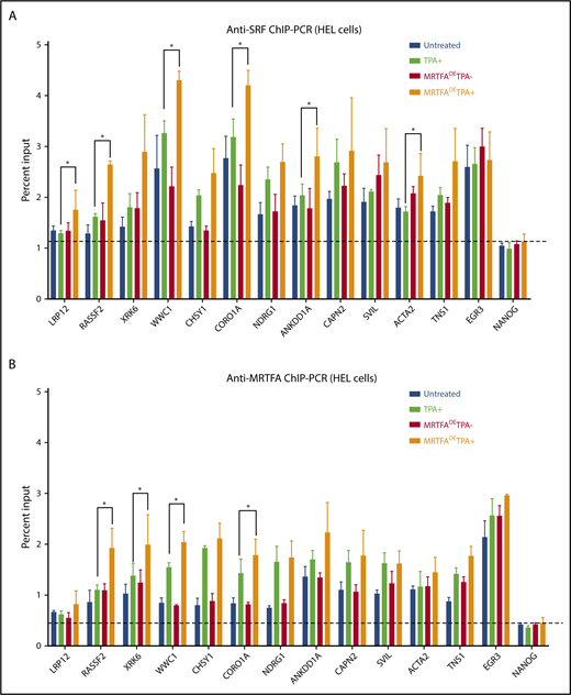 Figure 5. ChIP-PCR for MRTFA/SRF-regulated genes. Anti-SRF (A) and anti-MRTFA (B) binding at the indicated genes. On the basis of ChIP-seq results, the first 8 genes on the x-axes were predicted to have stronger SRF binding in the MRTFAOETPA+ group compared with the untreated group. The next 4 cytoskeletal genes were predicted to have SRF and MRTFA binding in multiple cell types. EGR3 (positive control) was predicted to have equal amounts of SRF binding under all conditions, and NANOG served as a negative control. (n = 3). Mean ± standard deviations. Asterisks represent significance with P ≤ .07.