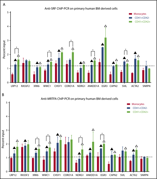 Figure 6. Increased SRF and MRTFA binding at predicted sites during primary human megakaryopoiesis. Anti-SRF (A) and anti-MRTFA (B) ChIP-PCR results are shown as percentages of input, for the same sites as in Figure 5. Exon 4 of SNRPN was used as a negative control (n = 3). Mean ± standard deviations. Filled triangles represent significant difference between monocytes and early Mks, empty triangles represent significant difference between monocytes and mature Mks, and asterisks represent significant difference between early (CD41+CD42−) and mature (CD41+CD42+) Mks. Significance assessed via 1-tailed paired Student t tests (P ≤ .07).
