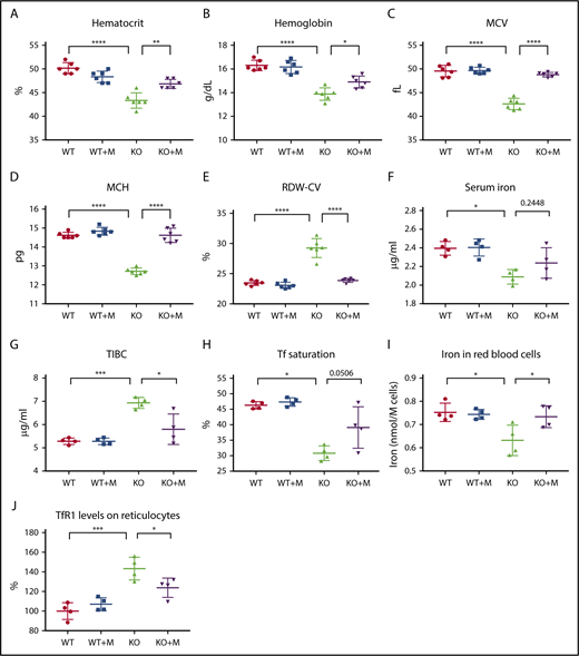 Figure 1. WT macrophage infusion increased iron levels and rescued microcytic anemia of Hmox1 KO mice. (A) Hematocrits, (B) hemoglobin, (C) MCV, (D) MCH, and (E) RDW-CV of WT and Hmox1−/− (KO) mice without or with macrophage infusion (WT+M and KO+M). (F) Serum iron, (G) TIBC, and (H) Tf saturation of WT and Hmox1 KO mice before and after infusion with macrophages for 12 weeks. (I) Total iron contents per million RBCs of WT and Hmox1 KO mice without or with macrophage infusion for 12 weeks. Iron contents were measured with inductively coupled plasma mass spectrometry. (J) TfR1 levels on reticulocytes of peripheral blood of WT and Hmox1 KO mice without or with macrophage infusion for 12 weeks. TfR1 levels were measured with flow cytometry, then the fluorescence intensity was normalized to WT control group. Mean ± SD; statistical analyses were performed using 2-way ANOVA (multiple comparisons). The graphs were created with GraphPad Prism software. *P < .05, **P < .01, ***P < .001, ****P < .0001.