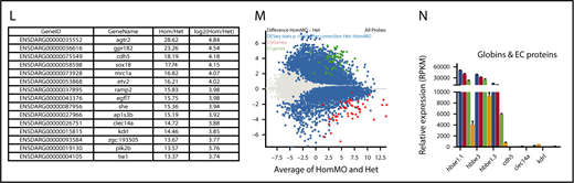 Misregulation of hundreds of genes in Gfi1aa/Gfi1b-depleted primitive erythroblasts isolated from 20 hpf zebrafish embryos. (A) Hierarchical clustering of gene expression data determined for 3 replicate qmc551het, qmc551hetMO, qmc551hom, and qmc551homMO samples. The analysis included the 9785 genes that a DESeq2 analysis had identified as differentially expressed in qmc551het and qmc551homMO prRBCs. The Log2 values of the normalized expression counts are given. (B) Principal component analysis performed on the complete data set of 24 914 genes. The set of 1610 genes that made up principal component 1 allowed the distinction of qmc551het and qmc551hom samples. The scatterplot shown in the inset compares the average expression of these genes in 551het and 551hom samples. (C) The distribution of reads was analyzed by plotting the cumulative read counts for 4 representative samples (qmc551het1, qmc551hetMO3, qmc551hom3, and qmc551homMO1) over the percentiles of genes arranged in the order of ascending average gene expression. (D) A DESeq2 analysis had identified differentially expressed genes among the 24 914 genes analyzed. Here, MA plots (mean fold change over average expression) are shown that report M, the log2 value of the ratio of Hom/Het (left) and of HomMO/Hom (right), over panel A, the log2 value of the average expression in all Hom+Het (left) and HomMO+Hom values (right), for all of the 24 914 genes. All differentially expressed genes are shown in red. These were 8426 and 5081 in Di and Dii, respectively. The MA plot was generated using Bioconductor. (E) List of the top 15 genes with the highest fold decrease in expression in qmc551homMO vs qmc551het samples and an average expression of at least 60 RPKM in qmc551het prRBCs. (F-K) Bar charts comparing the normalized average expression levels of the named erythroid and endothelial genes in qmc551het, qmc551hetMO, qmc551hom, and qmc551homMO prRBCs. The standard deviations are shown. (L) List of the top 15 genes with the highest fold increase in expression in qmc551hom relative to qmc551het samples and an RPKM value of at least 40 in the qmc551hom prRBCs. (M) MA plot plotting genes based on their average expression in qmc551homMO and qmc551het and the mean of the ratio of average qmc551homMO to average qmc551het expression values. Genes are colored in blue when the DESeq2 statistical analysis showed that the differences in raw read counts were significantly different in qmc551homMO and qmc551het prRBCs. Typical endothelial and erythroid genes are highlighted in green and red, respectively. These genes are listed in supplemental Table 5. (N) Bar chart comparing the average normalized expression of the named globin and endothelial protein genes in all 4 sets of replicates. Standard deviations are shown. The bar color coding used in panels F-K and N is explained in panel F.