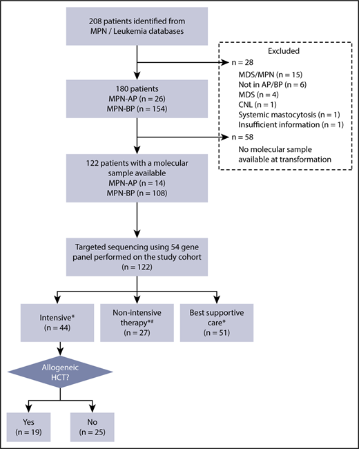 Figure 1. Eligibility of study cohort. *Treatment decision made by the treating physician, taking into consideration comorbidities, performance status, and patient preference. #Hypomethylating agent (HMA), n = 16; clinical trial, n = 10; low-dose chemotherapy, n = 1. CNL, chronic neutrophilic leukemia.