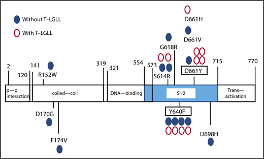 Figure 1. The distribution of STAT3 mutations. Blue closed circles represent the sites of STAT3 mutation in PRCA without T-LGLL; red open circles represent the mutations in PRCA without T-LGLL.