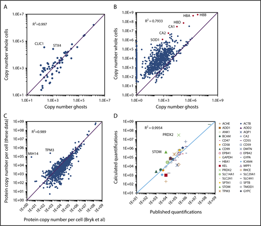 Figure 3. Absolute protein quantification in whole-cell and in ghost preparations. (A) Comparison of the quantification values for transmembrane proteins. Proteins with transmembrane domains were selected using the keyword annotations in Uniprot. Proteins quantified in both whole-cell and ghost preparations were selected and the quantification values were compared. (B) Comparison of the quantification values for all proteins quantified in the whole-cell preparations. (C) Comparison of the quantification values obtained in the present study with those reported previously by Bryk and Wiśniewski.19 (D) Comparison of the present study quantification values with those obtained by biochemical methods and compiled by Burton and Bruce14 except for HBA1, which was calculated starting from a hemoglobin content of 30 pg per erythrocyte and CA2 that was obtained from Sterling et al.27