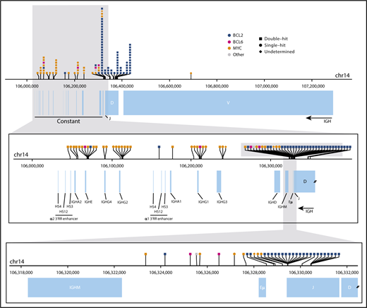 Figure 5. Translocation breakpoints in the IGH locus. The horizontal axis represents genomic space on chromosome 14 (chr14). The top panel shows the full IGH locus, the middle panel shows an enlargement of the constant region, and the bottom panel shows the smaller region surrounding the end of the variable diversity joining genes. In each panel, the top track indicates the location of translocation breakpoints (vertical tick marks), with symbols describing the identity of the partner region labeled above. Breakpoints shown on the uppermost panel have been binned for visualization. Annotations of the variable diversity joining segments, constant regions, and enhancer elements (Eµ and 3′RR) are depicted below.